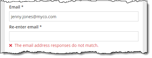 Re-enter email Re-enter email field only appears if email is modified.
